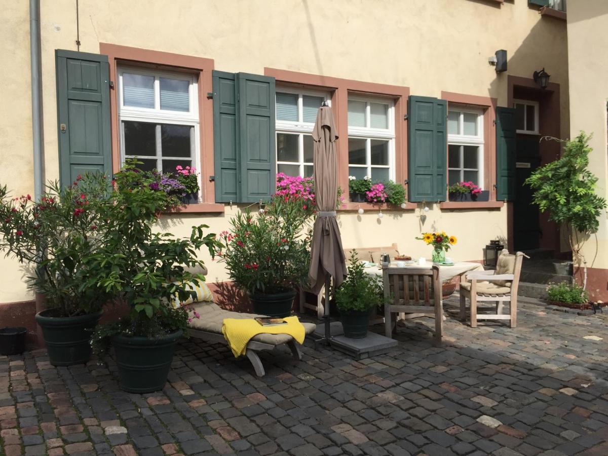 Alte Schule Wachenheim Im Zellertal Daire Wachenheim an der Weinstraße Dış mekan fotoğraf